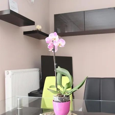 Apartment Dorina Wellness In Siofok